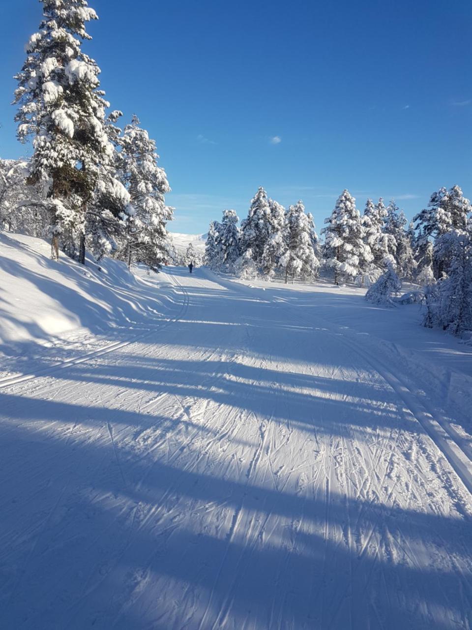 Skulestadmo Voss Interlake - Villa מראה חיצוני תמונה